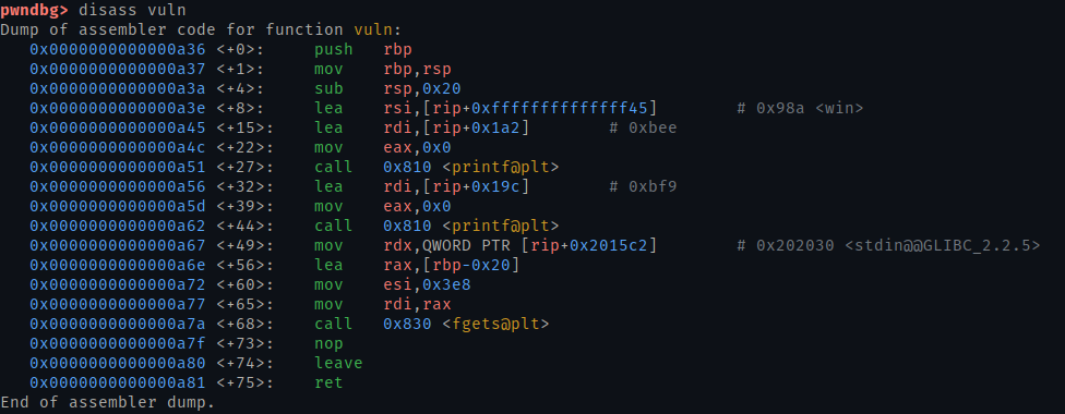 Output of disassembling the vuln function