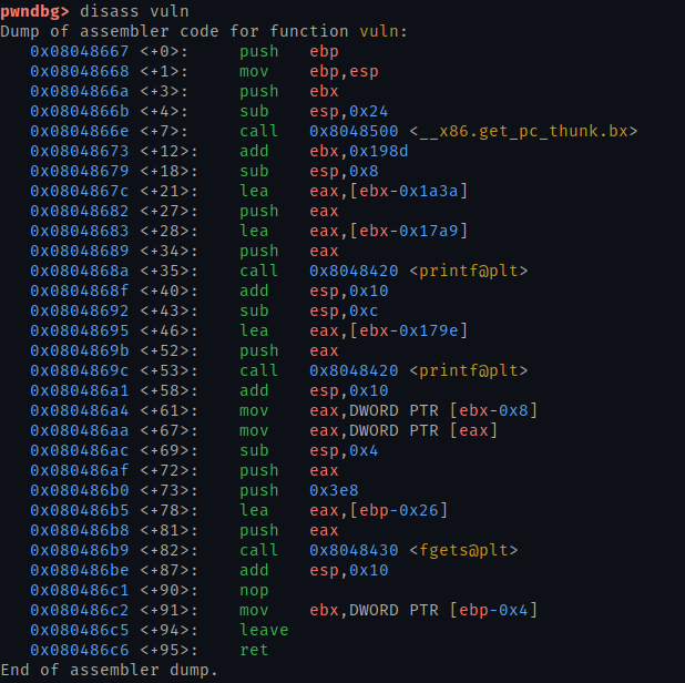 Output of: disass vuln