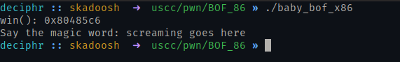Running the program